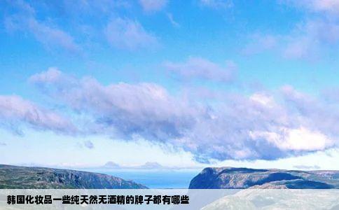 韩国化妆品一些纯天然无酒精的牌子都有哪些