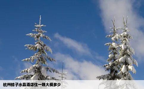 杭州桔子水晶酒店住一晚大概多少