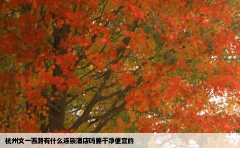 杭州文一西路有什么连锁酒店吗要干净便宜的