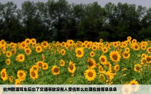 杭州醉酒驾车后出了交通事故没有人受伤怎么处理在线等急急急