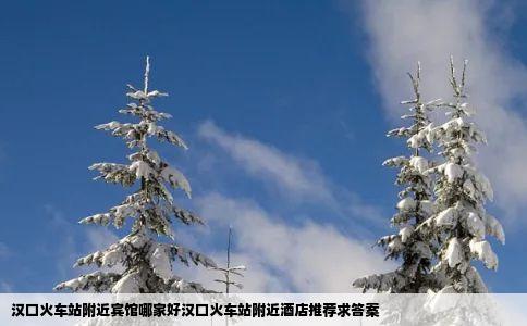 汉口火车站附近宾馆哪家好汉口火车站附近酒店推荐求答案