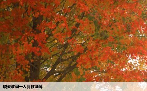 喊麦歌词一人我饮酒醉