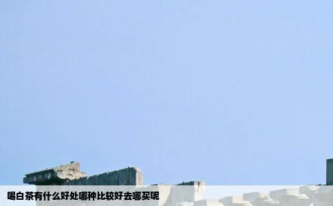 喝白茶有什么好处哪种比较好去哪买呢
