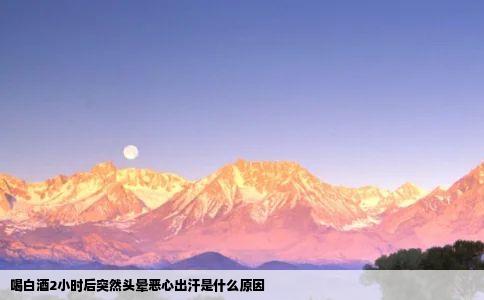 喝白酒2小时后突然头晕恶心出汗是什么原因