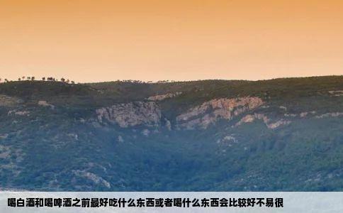 喝白酒和喝啤酒之前最好吃什么东西或者喝什么东西会比较好不易很