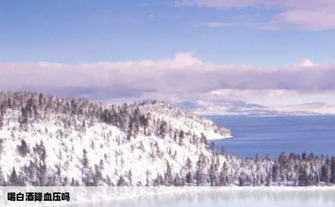 喝白酒降血压吗