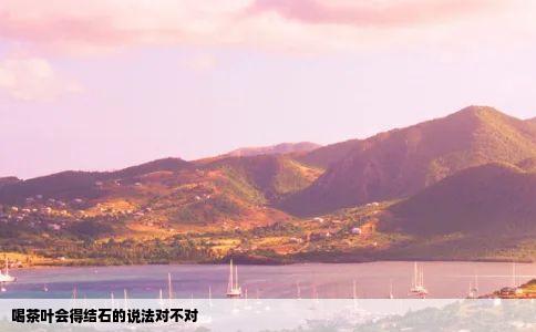 喝茶叶会得结石的说法对不对
