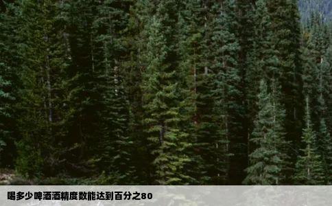 喝多少啤酒酒精度数能达到百分之80