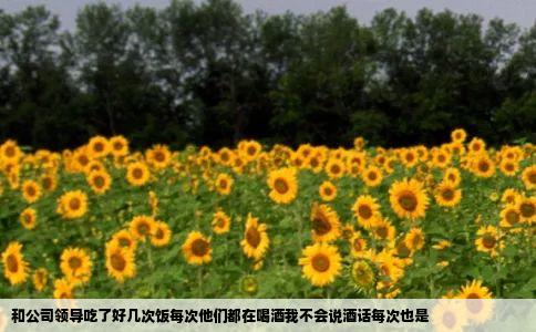 和公司领导吃了好几次饭每次他们都在喝酒我不会说酒话每次也是