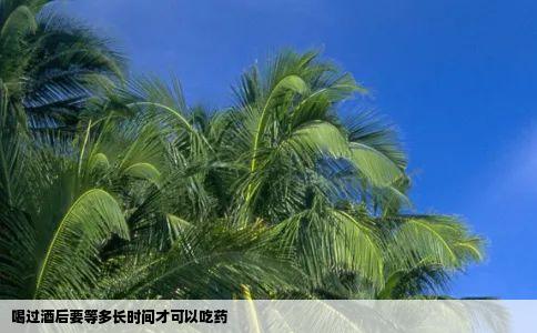 喝过酒后要等多长时间才可以吃药