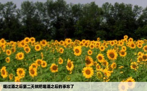 喝过酒之后第二天就把喝酒之后的事忘了