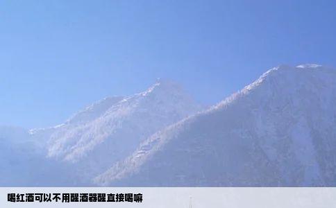 喝红酒可以不用醒酒器醒直接喝嘛