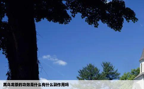 黑乌龙茶的功效是什么有什么副作用吗