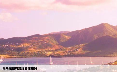 黑乌龙茶有减肥的作用吗
