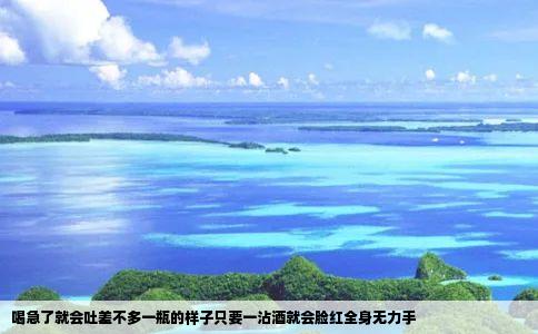 喝急了就会吐差不多一瓶的样子只要一沾酒就会脸红全身无力手