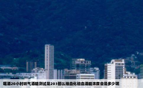 喝酒20小时吹气酒精测试是203那么抽血化验血酒精浓度会是多少呢
