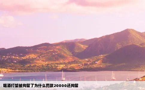 喝酒打架被拘留了为什么罚款20000还拘留