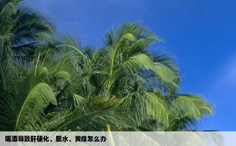 喝酒导致肝硬化腹水黄疸怎么办