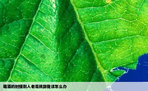 喝酒的时候别人老是挑衅我该怎么办