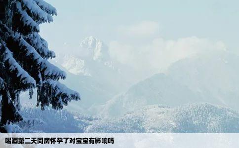 喝酒第二天同房怀孕了对宝宝有影响吗