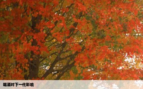 喝酒对下一代影响