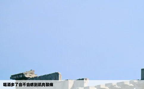 喝酒多了会不会感到肌肉酸痛