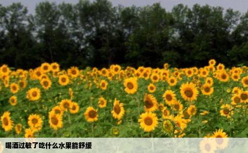 喝酒过敏了吃什么水果能舒缓