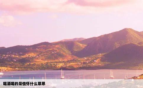 喝酒喝的是情怀什么意思