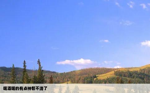 喝酒喝的有点神智不清了