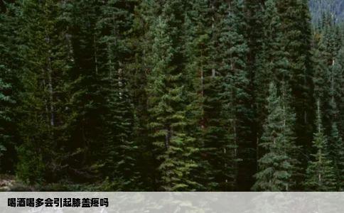 喝酒喝多会引起膝盖疼吗