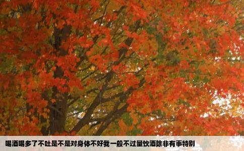 喝酒喝多了不吐是不是对身体不好我一般不过量饮酒除非有事特别