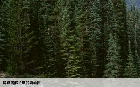 喝酒喝多了就会耍酒疯