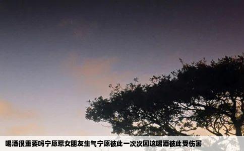 喝酒很重要吗宁愿惹女朋友生气宁愿彼此一次次因这喝酒彼此受伤害