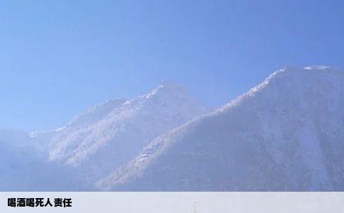 喝酒喝死人责任