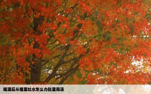 喝酒后从嘴里吐水怎么办肚里晃汤