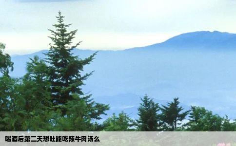 喝酒后第二天想吐能吃辣牛肉汤么