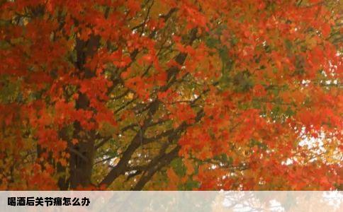 喝酒后关节痛怎么办