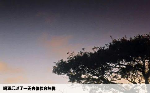 喝酒后过了一天去体检会怎样
