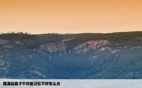 喝酒后脑子不好使记忆不好怎么办