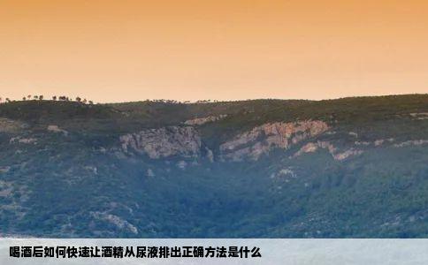 喝酒后如何快速让酒精从尿液排出正确方法是什么