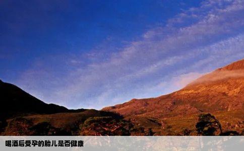 喝酒后受孕的胎儿是否健康