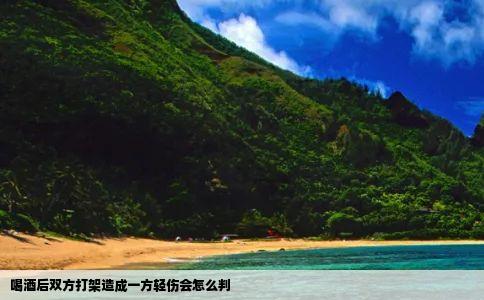 喝酒后双方打架造成一方轻伤会怎么判