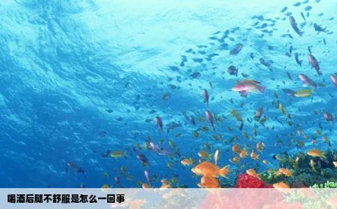喝酒后腿不舒服是怎么一回事