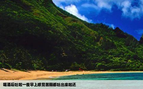 喝酒后吐啦一夜早上感觉苦胆都吐出来啦还