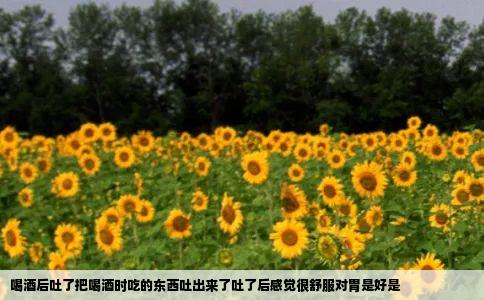 喝酒后吐了把喝酒时吃的东西吐出来了吐了后感觉很舒服对胃是好是