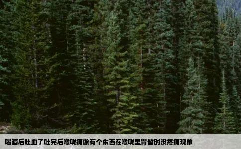 喝酒后吐血了吐完后喉咙痛像有个东西在喉咙里胃暂时没疼痛现象