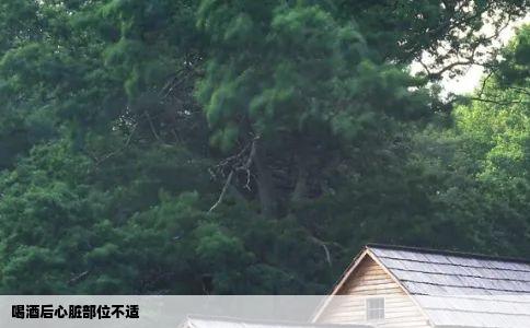 喝酒后心脏部位不适