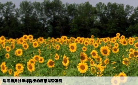 喝酒后用验孕棒得出的结果是否准确