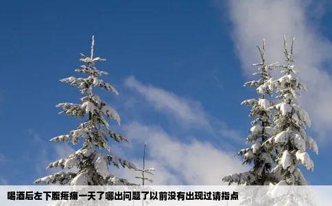 喝酒后左下腹疼痛一天了哪出问题了以前没有出现过请指点