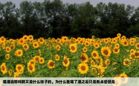 喝酒会醉吗醉又是什么样子的。为什么我喝了酒之后只是有点晕但是